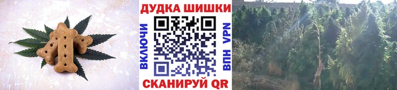 Купить закладки  Ефремов  Печенье с ТГК конопля 