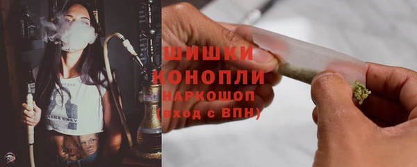 крисы Галич