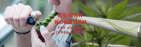 ГАЛЛЮЦИНОГЕННЫЕ ГРИБЫ Беломорск