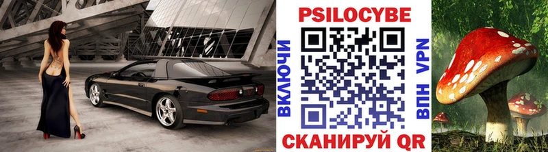 Псилоцибиновые грибы Psilocybe Купить Ефремов